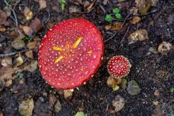 Kõnnu Suursoo - Prodloužený víkend u Baltu (září 2024)