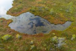 Kõnnu Suursoo - Prodloužený víkend u Baltu (září 2024)