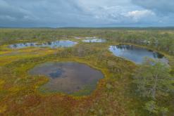 Kõnnu Suursoo - Prodloužený víkend u Baltu (září 2024)