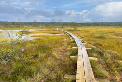 Kõnnu Suursoo - Prodloužený víkend u Baltu (září 2024)