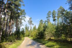 Kõnnu Suursoo - Prodloužený víkend u Baltu (září 2024)