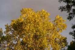 Pärnu - Prodloužený víkend u Baltu (září 2024)