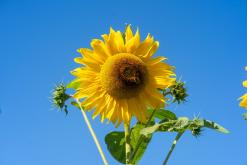 Jūrmala - Prodloužený víkend u Baltu (září 2024)