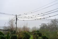 Ponta Delgada - São Miguel, Týden po Azorech (leden 2025)