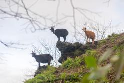 Janela do Inferno - São Miguel, Týden po Azorech (leden 2025)