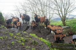 Janela do Inferno - São Miguel, Týden po Azorech (leden 2025)