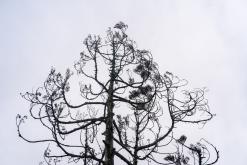 Janela do Inferno - São Miguel, Týden po Azorech (leden 2025)