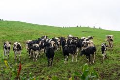 Janela do Inferno - São Miguel, Týden po Azorech (leden 2025)