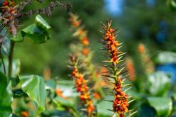 Janela do Inferno - São Miguel, Týden po Azorech (leden 2025)