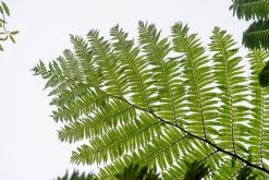 Janela do Inferno - São Miguel, Týden po Azorech (leden 2025)