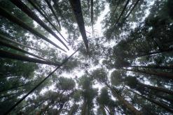 Janela do Inferno - São Miguel, Týden po Azorech (leden 2025)