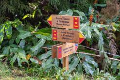 Janela do Inferno - São Miguel, Týden po Azorech (leden 2025)