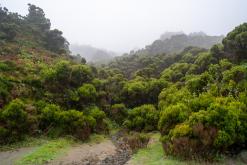 Lagoa do Fogo - São Miguel, Týden po Azorech (leden 2025)