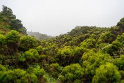 Lagoa do Fogo - São Miguel, Týden po Azorech (leden 2025)