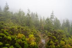 Lagoa do Fogo - São Miguel, Týden po Azorech (leden 2025)