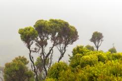Lagoa do Fogo - São Miguel, Týden po Azorech (leden 2025)