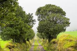 Lagoa do Fogo - São Miguel, Týden po Azorech (leden 2025)