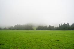 Lagoa do Congro - São Miguel, Týden po Azorech (leden 2025)