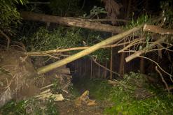 Ribeira Quente - São Miguel, Týden po Azorech (leden 2025)