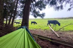 Povoação - São Miguel, Týden po Azorech (leden 2025)