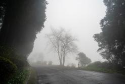 Pico Bartolomeu - São Miguel, Týden po Azorech (leden 2025)