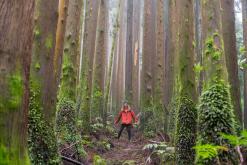 Pico Bartolomeu - São Miguel, Týden po Azorech (leden 2025)