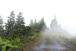 Pico Bartolomeu - São Miguel, Týden po Azorech (leden 2025)