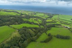 Pico Bartolomeu - São Miguel, Týden po Azorech (leden 2025)