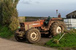 Pico Bartolomeu - São Miguel, Týden po Azorech (leden 2025)
