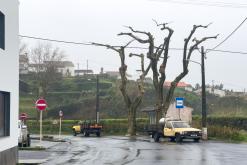 Santana - São Miguel, Týden po Azorech (leden 2025)