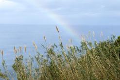 Santana - São Miguel, Týden po Azorech (leden 2025)