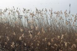 Komské jezero - leden 2017