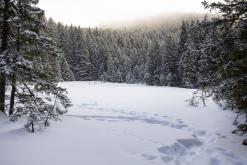 Polské Tatry, Zakopané - únor 2017