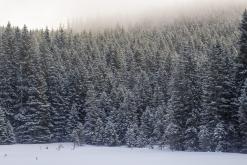 Polské Tatry, Zakopané - únor 2017