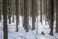 Polské Tatry, Zakopané - únor 2017