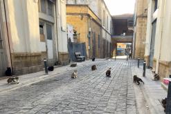 Nikósie - Prodloužený víkend po severním Kypru (březen 2025)