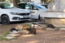 Nikósie - Prodloužený víkend po severním Kypru (březen 2025)