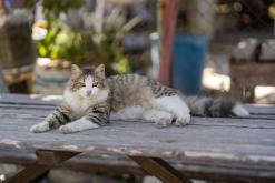 Famagusta - Prodloužený víkend po severním Kypru (březen 2025)