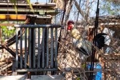 Kilitkaya - Prodloužený víkend po severním Kypru (březen 2025)