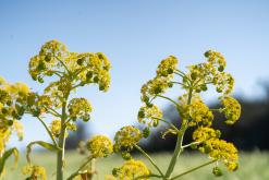 Kilitkaya - Prodloužený víkend po severním Kypru (březen 2025)