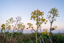 Kilitkaya - Prodloužený víkend po severním Kypru (březen 2025)