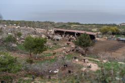 Yenierenköy - Prodloužený víkend po severním Kypru (březen 2025)