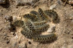 Koma tou Gialou - Prodloužený víkend po severním Kypru (březen 2025)