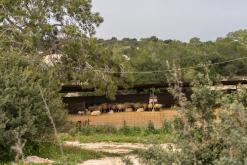 Koma tou Gialou - Prodloužený víkend po severním Kypru (březen 2025)