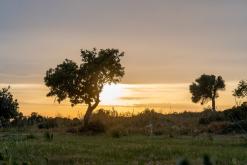 Koma tou Gialou - Prodloužený víkend po severním Kypru (březen 2025)