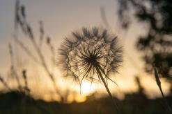 Koma tou Gialou - Prodloužený víkend po severním Kypru (březen 2025)