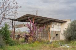 Bafra - Prodloužený víkend po severním Kypru (březen 2025)