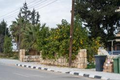 Bafra - Prodloužený víkend po severním Kypru (březen 2025)