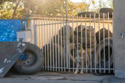 Jerevan - Prodloužený víkend po Arménii (říjen 2024)