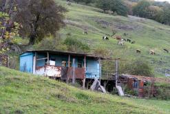 Dilidžan - Prodloužený víkend po Arménii (říjen 2024)